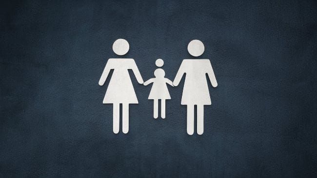 Same‑Sex Adoption Laws by State 2025